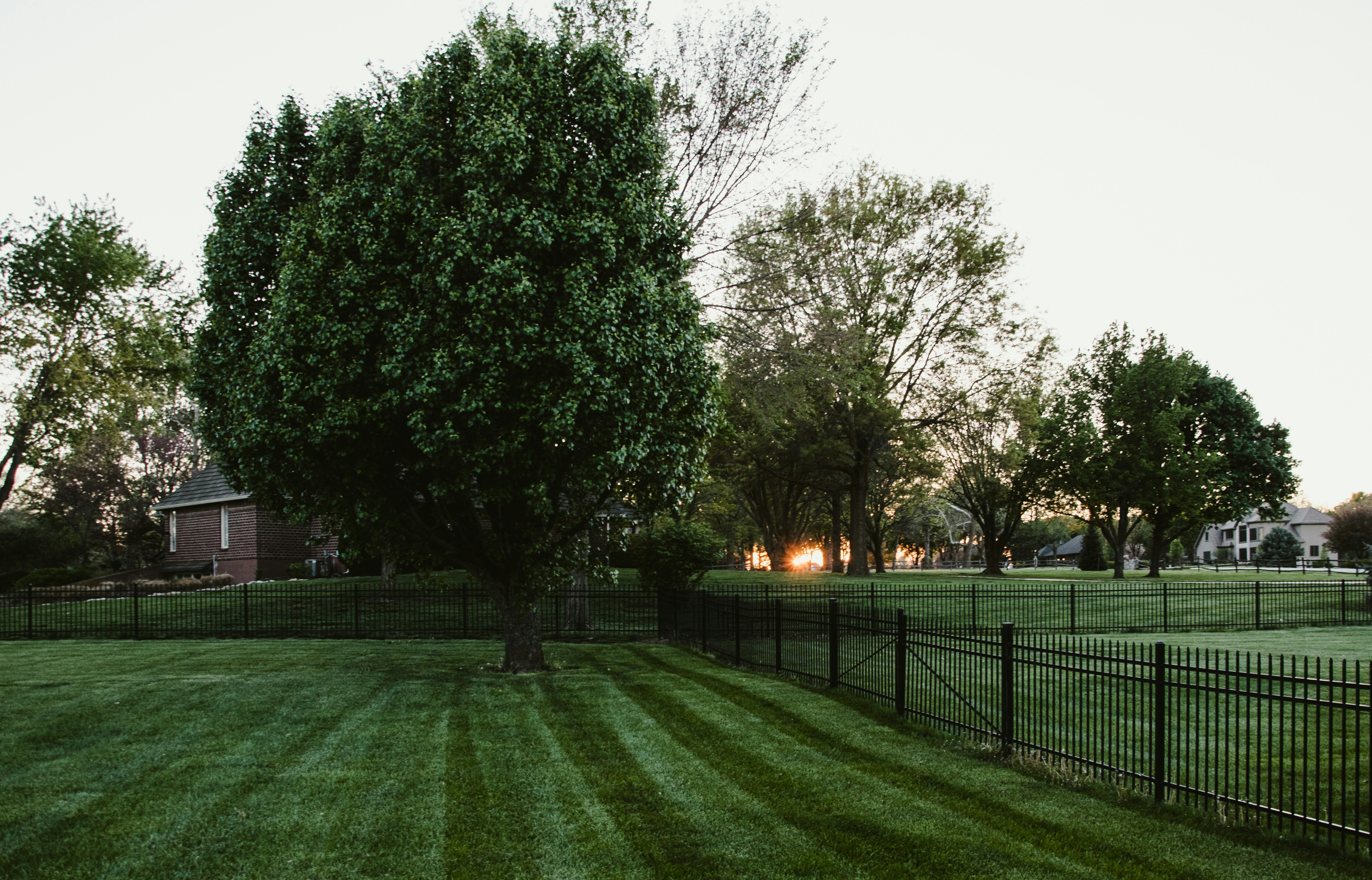 Landscaping